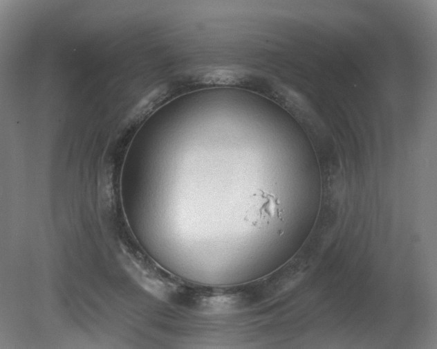 X0000081280312200701181750