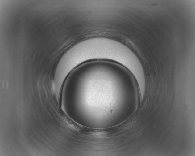 X0000081280313200701181750