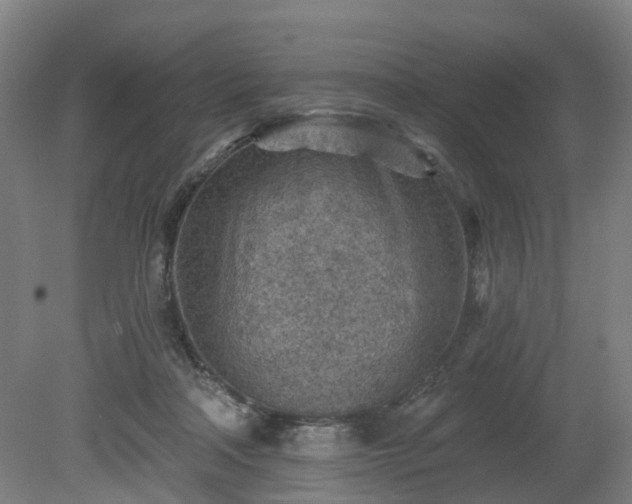 X0000081280314200701181750