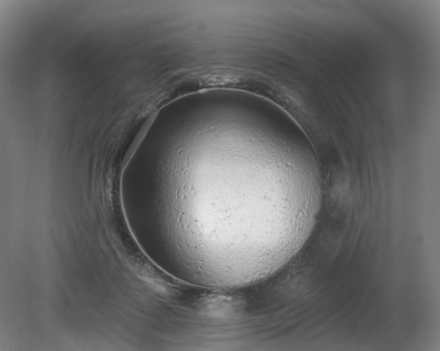 X0000081280315200701181750