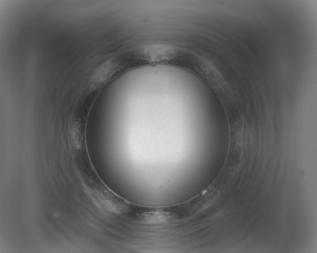 X0000081280316200701181750