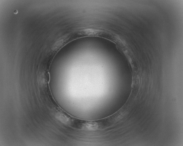 X0000081280317200701181750