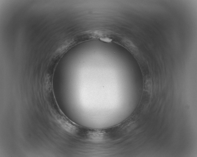 X0000081280318200701181750