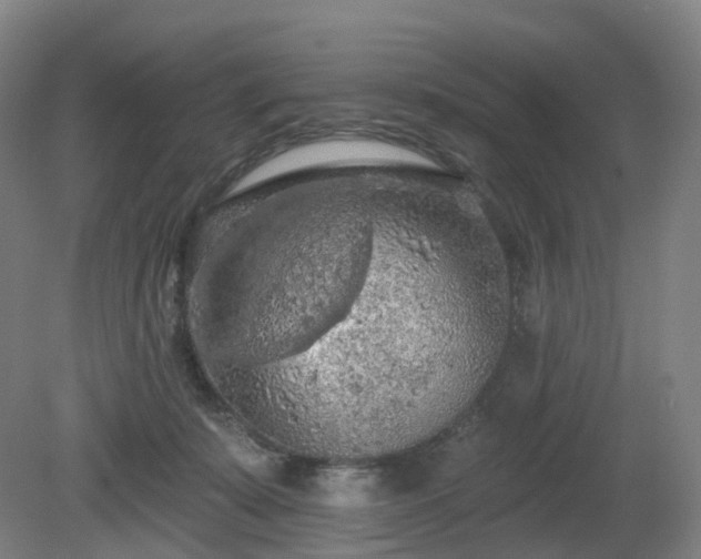 X0000081280319200701181750