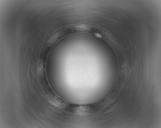 X0000081280320200701181750