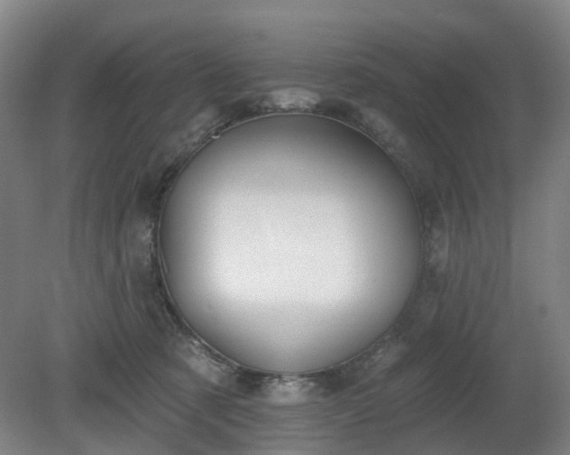 X0000081280321200701181750