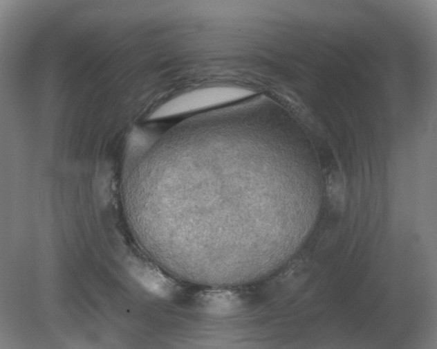 X0000081280322200701181750