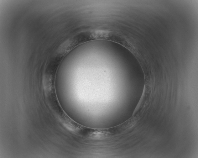 X0000081280323200701181750