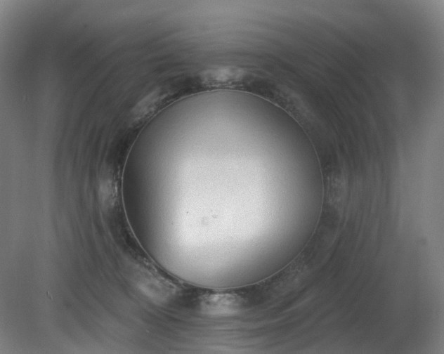 X0000081280324200701181749