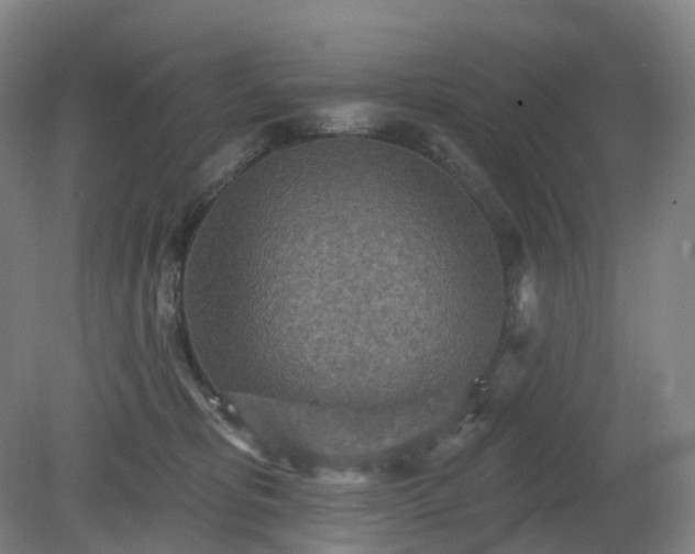 X0000081280325200701181749