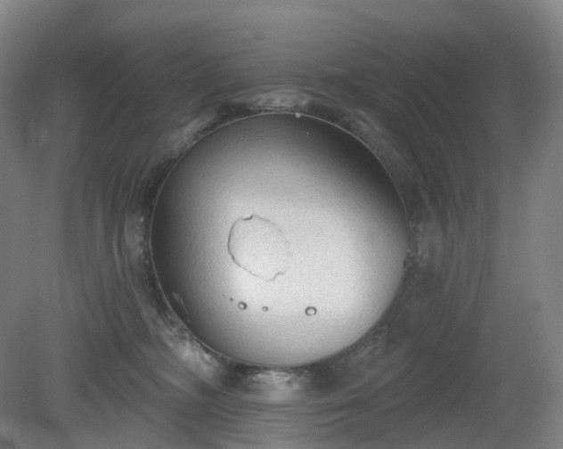 X0000081280326200701181749