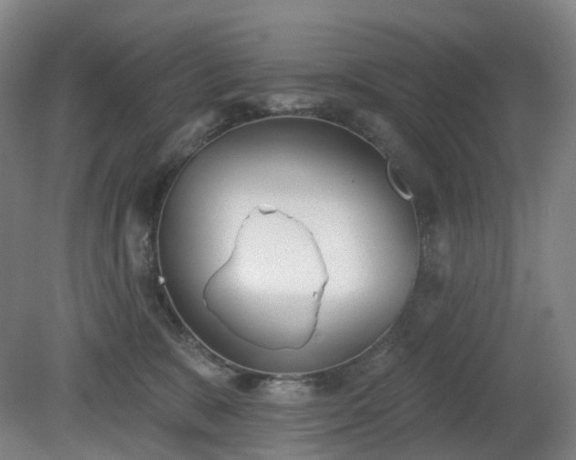 X0000081280327200701181749