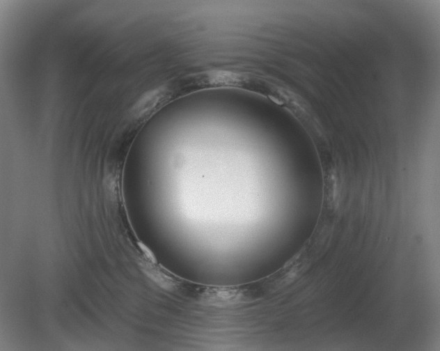 X0000081280329200701181749