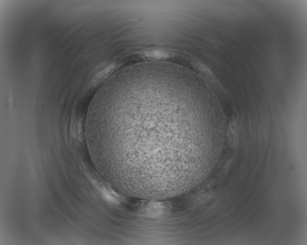 X0000081280330200701181749