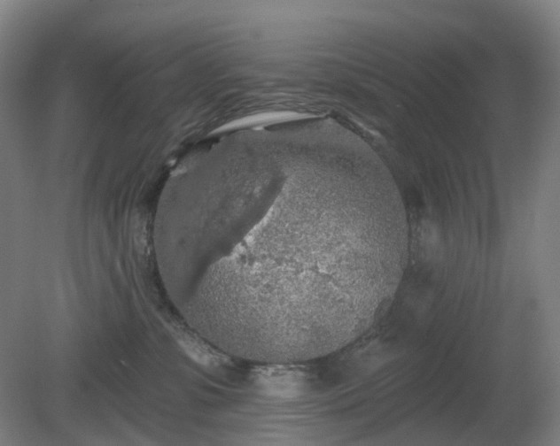 X0000081280331200701181749