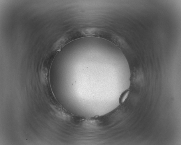 X0000081280332200701181749