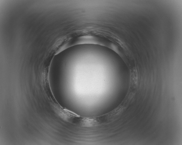 X0000081280333200701181749