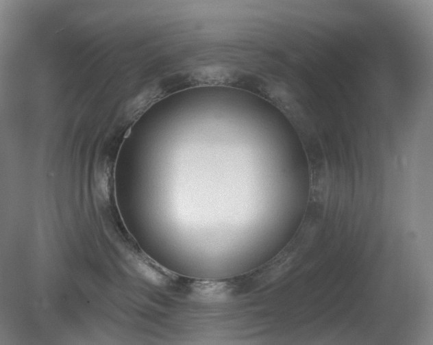 X0000081280334200701181749