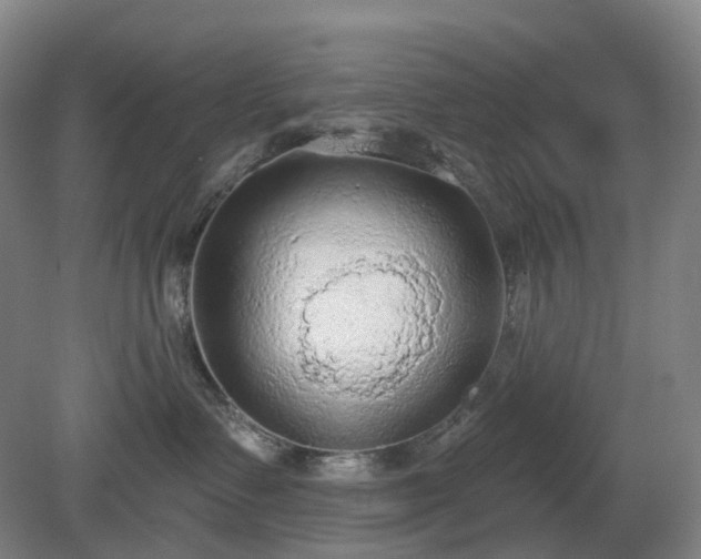 X0000081280335200701181749