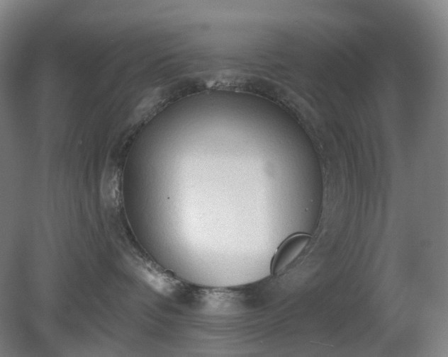 X0000081280336200701181749