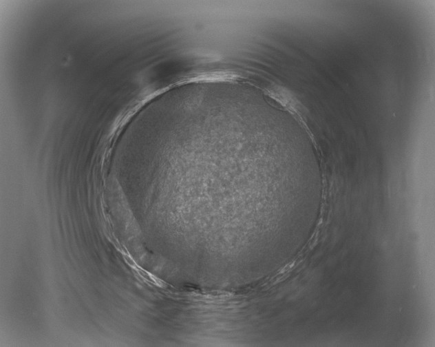 X0000081280337200701181748