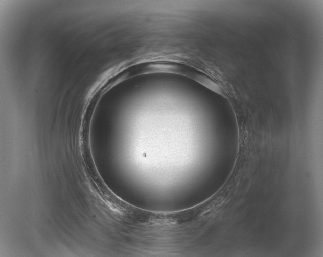 X0000081280340200701181749