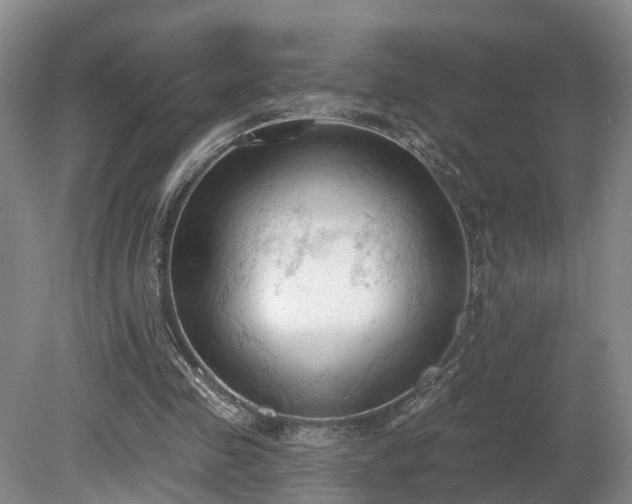 X0000081280341200701181749