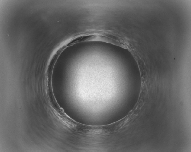 X0000081280342200701181749