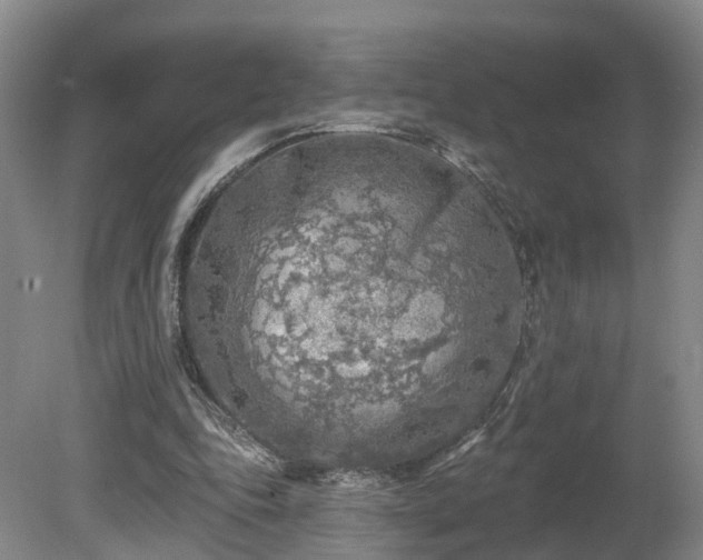 X0000081280343200701181749