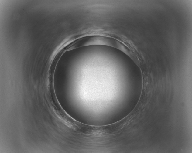 X0000081280344200701181749