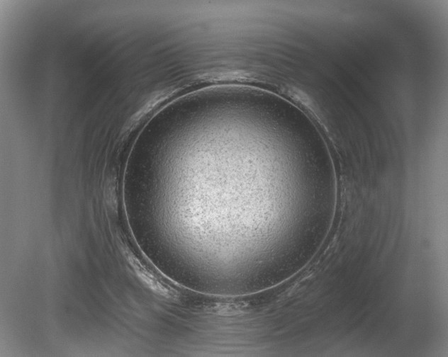 X0000081280345200701181749