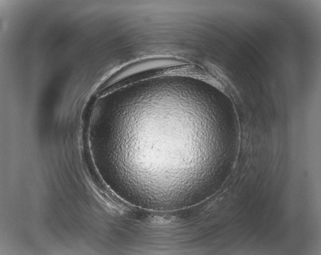 X0000081280346200701181749