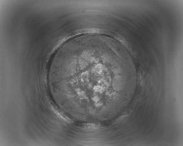 X0000081280347200701181749