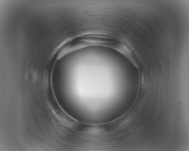 X0000081280348200701181749