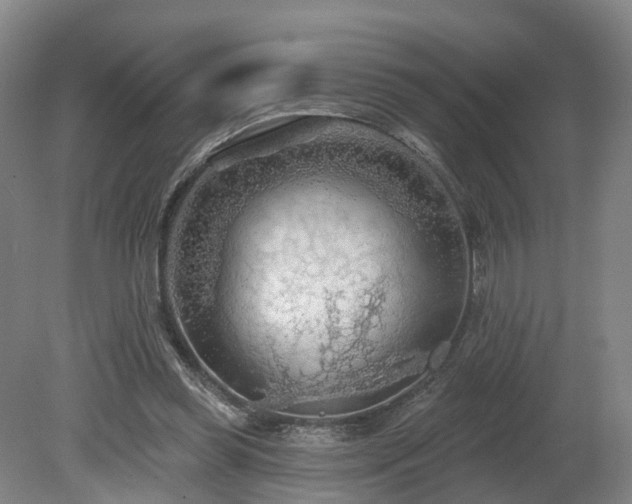 X0000081280349200701181749