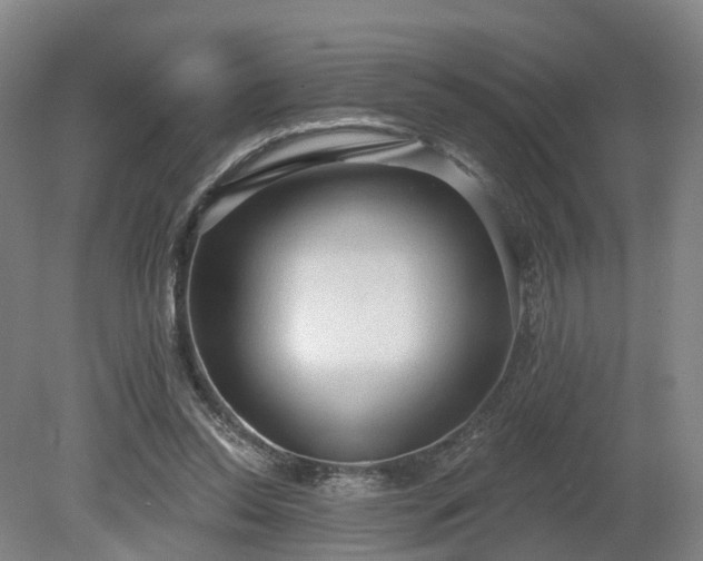 X0000081280350200701181749