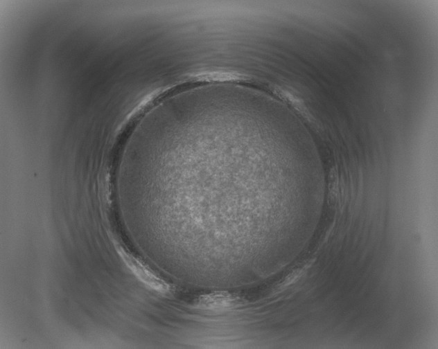 X0000081280351200701181749