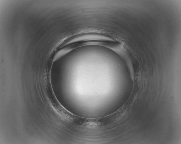 X0000081280352200701181749