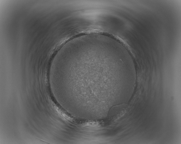 X0000081280353200701181749