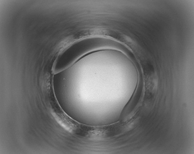 X0000081280356200701181749