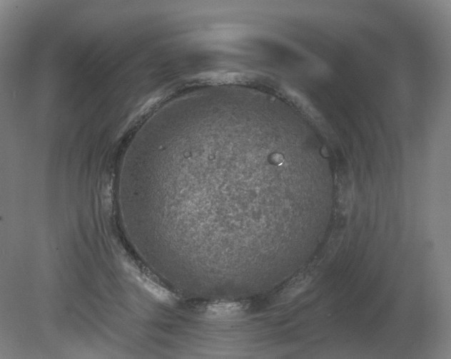 X0000081280357200701181749