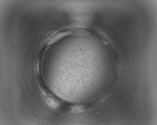 X0000081280358200701181749