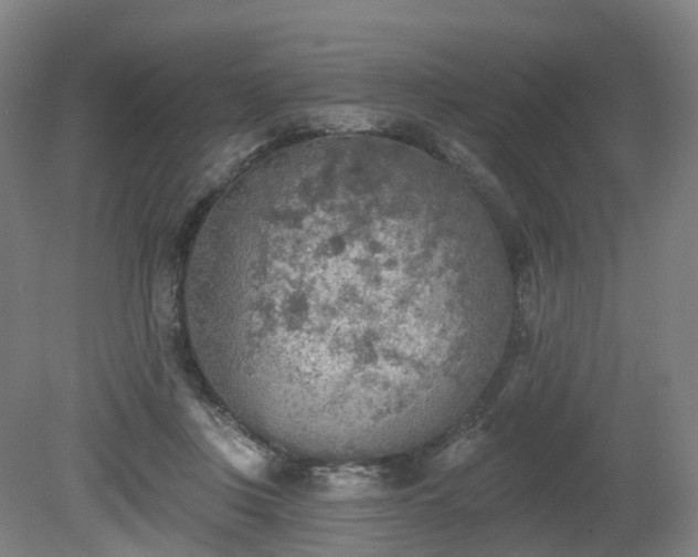 X0000081280359200701181749