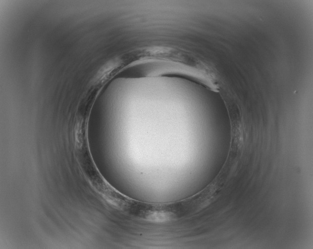 X0000081280360200701181749