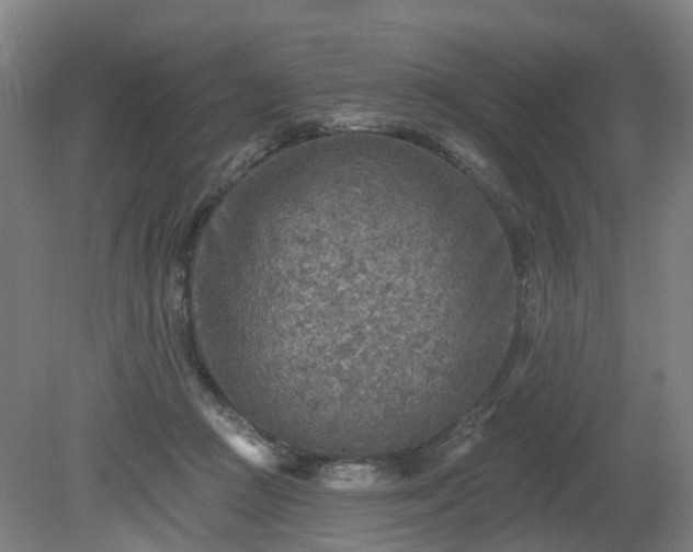 X0000081280361200701181749