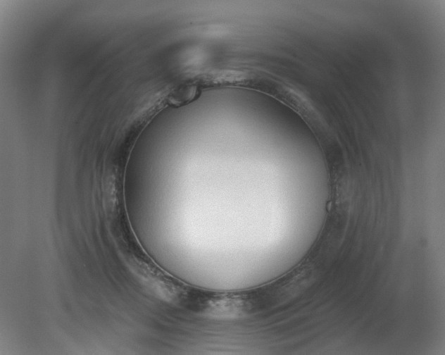 X0000081280362200701181749