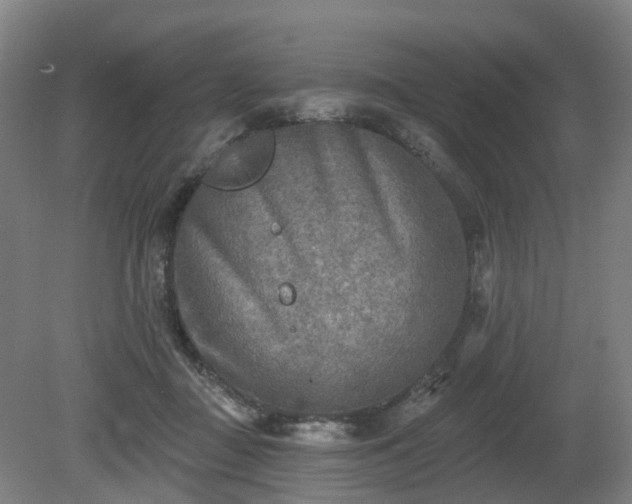 X0000081280363200701181749