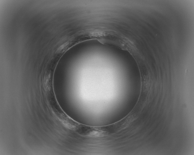 X0000081280364200701181749