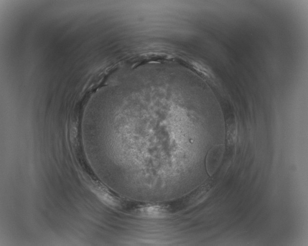 X0000081280365200701181749