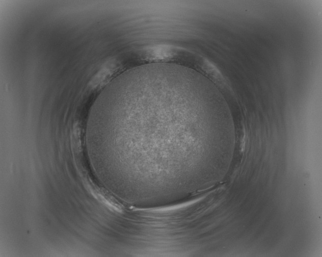 X0000081280366200701181749